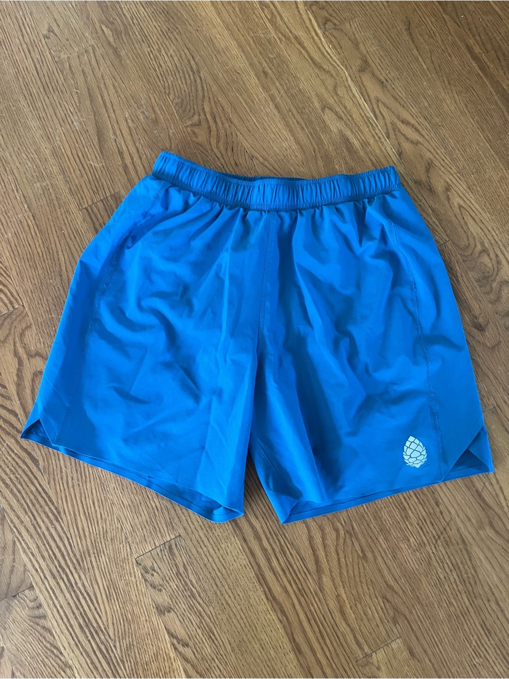 Stio Bounder Lined Athletic Running Shorts Blue - men’s small 6”